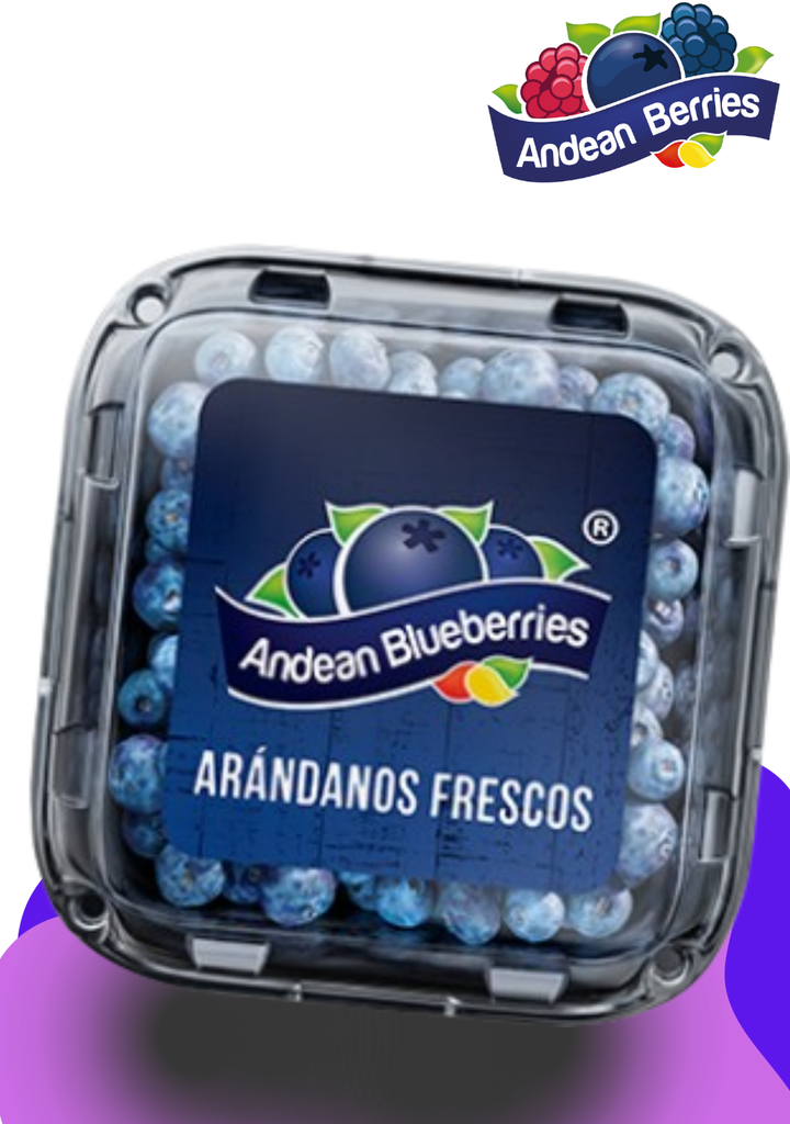 ARANDANOS FRESCOS 125 GR