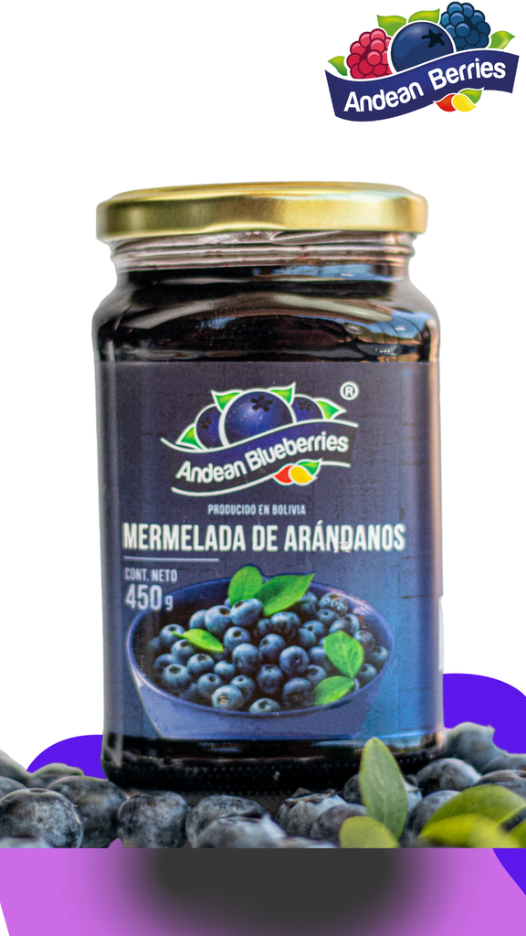 MERMELADA DE ARANDANO FRASCO DE 450 GR