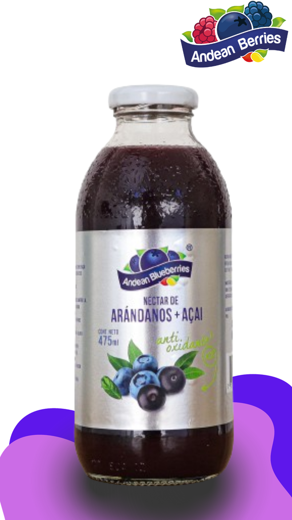 JUGO DE ARANDANO + ASAI 475ml