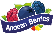 Andeanberries